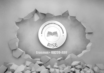 RISE – Reintegration through skills and education