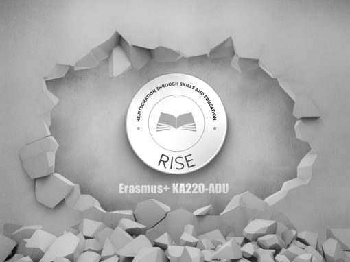 RISE – Reintegration through skills and education